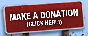 Make a donation